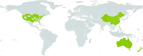 Diplotaxis world distribution map, present in Australia, China, New Zealand, and United States of America