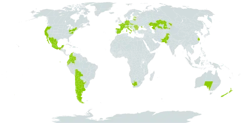 Dipsacus sativus world distribution map, present in Albania, Argentina, Australia, Bulgaria, Bolivia (Plurinational State of), Chile, China, Colombia, Czech Republic, Germany, Ecuador, Spain, Estonia, France, United Kingdom of Great Britain and Northern Ireland, Croatia, Italy, Kazakhstan, Lithuania, Mexico, New Zealand, Pakistan, Romania, Slovakia, Ukraine, United States of America, and South Africa
