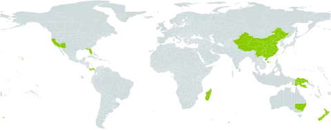 Dodonaea world distribution map, present in Australia, Bonaire, Sint Eustatius and Saba, China, Madagascar, New Zealand, Panama, Papua New Guinea, and United States of America