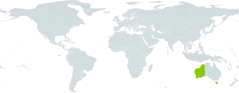 Dodonaea ptarmicifolia world distribution map, present in Australia