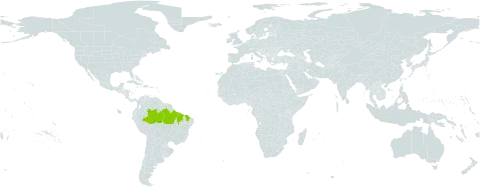 Dracontium nivosum world distribution map, present in Brazil