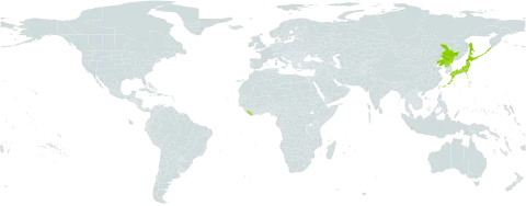 Dryopteris amurensis world distribution map, present in China, Japan, Liberia, Korea (Democratic People's Republic of), and Russian Federation