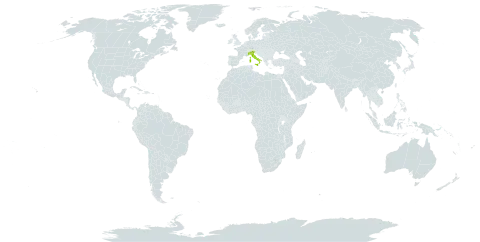 Dryopteris cambrensis subsp. distans world distribution map, present in France and Italy