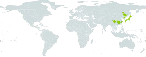 Dryopteris lacera world distribution map, present in China, Japan, Korea (Democratic People's Republic of), and Taiwan, Province of China