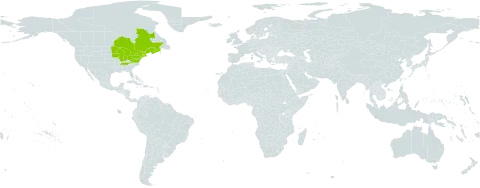 Dryopteris x boottii world distribution map, present in Canada and United States of America