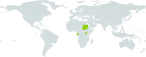 Drypetes bipindensis world distribution map, present in Gabon, Sudan, and Uganda
