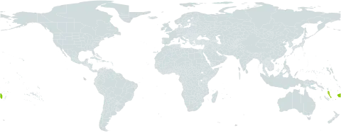 Earina valida world distribution map, present in Fiji, Vanuatu, and Samoa