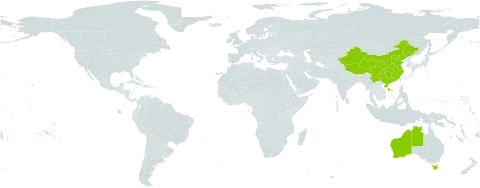 Ebenaceae world distribution map, present in Australia and China
