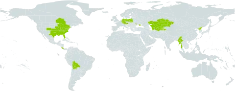Echinacea purpurea world distribution map, present in Austria, Bolivia (Plurinational State of), Canada, Costa Rica, Germany, Kazakhstan, Moldova (Republic of), Myanmar, Poland, Korea (Democratic People's Republic of), Russian Federation, Tajikistan, Turkmenistan, Ukraine, United States of America, and Uzbekistan