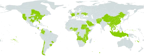 Echinochloa frumentacea world distribution map, present in Afghanistan, Angola, Åland Islands, Austria, Burkina Faso, Bangladesh, Brazil, Canada, Chile, China, Congo, Colombia, Czech Republic, Ethiopia, France, Micronesia (Federated States of), Gambia, Indonesia, Kenya, Lao People's Democratic Republic, Myanmar, Mozambique, Malaysia, Nigeria, Nicaragua, Pakistan, Korea (Democratic People's Republic of), Saudi Arabia, Sudan, Togo, Thailand, Taiwan, Province of China, Tanzania, United Republic of, Ukraine, United States of America, Viet Nam, Zambia, and Zimbabwe
