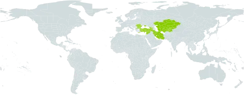 Echinophora tenuifolia subsp. sibthorpiana world distribution map, present in Afghanistan, Armenia, Bulgaria, Cyprus, Georgia, Greece, Iran (Islamic Republic of), Kazakhstan, Kyrgyzstan, Lebanon, North Macedonia, Romania, Syrian Arab Republic, Tajikistan, Turkmenistan, Turkey, Ukraine, and Uzbekistan