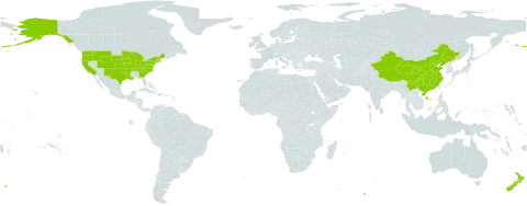 Echium world distribution map, present in China, New Zealand, and United States of America