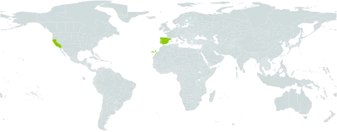 Echium lusitanicum world distribution map, present in Spain, Portugal, and United States of America