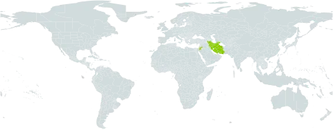 Ekimia glauca world distribution map, present in Iran (Islamic Republic of) and Jordan