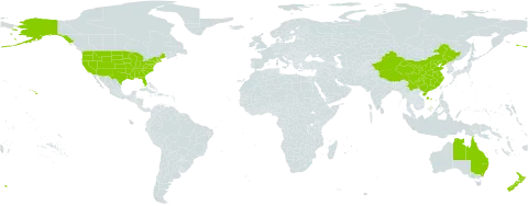 Elaeagnus world distribution map, present in Australia, China, New Zealand, and United States of America