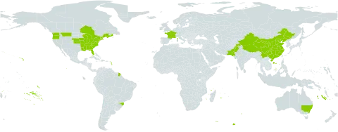 Elaeagnus umbellata world distribution map, present in Australia, Brazil, Canada, China, France, Pakistan, and United States of America