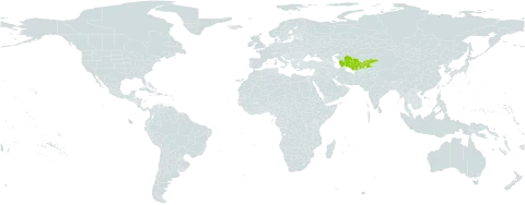 Elaeosticta polycarpa world distribution map, present in Afghanistan, Kyrgyzstan, Tajikistan, Turkmenistan, and Uzbekistan