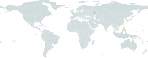 Elaphoglossum ophioglossoides world distribution map, present in Philippines and Russian Federation