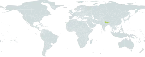 Elatostema hookerianum world distribution map, present in Bhutan, China, India, and Nepal