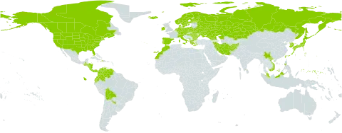Eleocharis acicularis world distribution map, present in Afghanistan, Åland Islands, Albania, Argentina, Austria, Bulgaria, Belarus, Bolivia (Plurinational State of), Canada, Switzerland, China, Colombia, Costa Rica, Czech Republic, Germany, Denmark, Algeria, Ecuador, Spain, Finland, France, Micronesia (Federated States of), Georgia, Greece, Guatemala, Honduras, Haiti, Hungary, Indonesia, Ireland, Iran (Islamic Republic of), Iceland, Italy, Japan, Kazakhstan, Korea (Republic of), Sri Lanka, Morocco, Montenegro, Malaysia, Nicaragua, Netherlands, Norway, Panama, Philippines, Poland, Portugal, Romania, Russian Federation, Sweden, Turks and Caicos Islands, Taiwan, Province of China, Ukraine, United States of America, Venezuela (Bolivarian Republic of), and Viet Nam