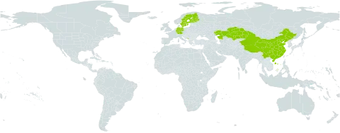 Eleocharis fennica world distribution map, present in China, Germany, Finland, Kazakhstan, Montenegro, and Sweden
