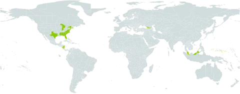 Eleocharis melanocarpa world distribution map, present in Åland Islands, Micronesia (Federated States of), Georgia, Malaysia, Nicaragua, and United States of America