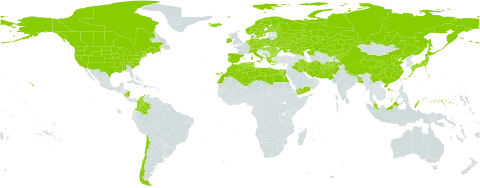 Eleocharis palustris world distribution map, present in Afghanistan, Åland Islands, Albania, Austria, Bangladesh, Bulgaria, Belarus, Canada, Switzerland, Chile, China, Colombia, Cyprus, Czech Republic, Germany, Denmark, Algeria, Egypt, Spain, Finland, France, Micronesia (Federated States of), Greece, Hungary, Ireland, Iran (Islamic Republic of), Iraq, Iceland, Italy, Japan, Kazakhstan, Kyrgyzstan, Libya, Morocco, Montenegro, Malaysia, Nicaragua, Netherlands, Norway, Nepal, Pakistan, Palau, Poland, Portugal, Romania, Russian Federation, Sweden, Turks and Caicos Islands, Tunisia, Ukraine, United States of America, and Yemen