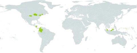 Eleocharis palustris var. vigens world distribution map, present in Åland Islands, Colombia, Micronesia (Federated States of), Malaysia, Nicaragua, and United States of America