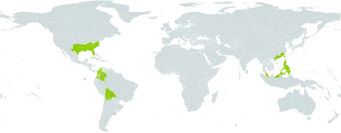 Elephantopus tomentosus world distribution map, present in Bolivia (Plurinational State of), China, Colombia, Malaysia, Philippines, Taiwan, Province of China, and United States of America