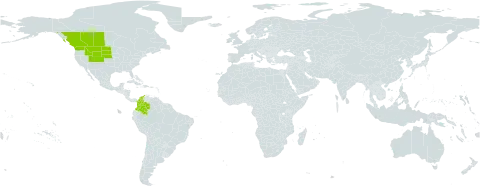 Elymus albicans world distribution map, present in Canada, Colombia, and United States of America
