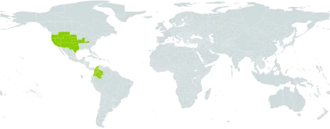 Elymus longifolius world distribution map, present in Colombia and United States of America