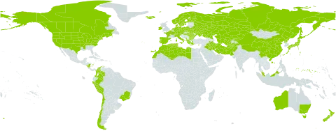 Elymus repens world distribution map, present in Afghanistan, Albania, Australia, Austria, Bulgaria, Belarus, Brazil, Canada, Switzerland, Chile, China, Colombia, Cyprus, Czech Republic, Germany, Denmark, Algeria, Spain, Finland, Falkland Islands (Malvinas), France, Micronesia (Federated States of), Greece, Hungary, Ireland, Iran (Islamic Republic of), Iraq, Iceland, Italy, Japan, Kazakhstan, Kyrgyzstan, Libya, Morocco, Montenegro, Malaysia, Nicaragua, Netherlands, Norway, New Zealand, Pakistan, Peru, Poland, Korea (Democratic People's Republic of), Portugal, Romania, Russian Federation, Sweden, Turks and Caicos Islands, Turkmenistan, Tunisia, Ukraine, United States of America, and Uzbekistan