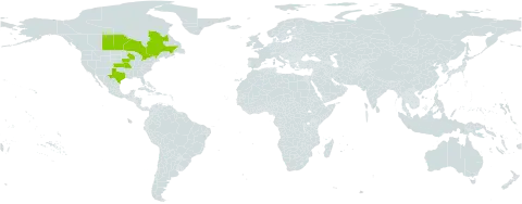 Elymus x maltei world distribution map, present in Canada and United States of America