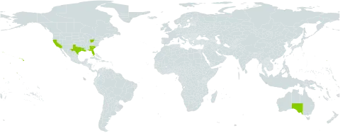 Emilia world distribution map, present in Australia and United States of America