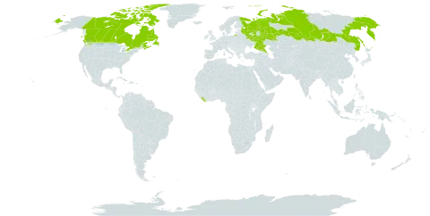 Endocellion sibiricum world distribution map, present in Canada, Liberia, and Russian Federation