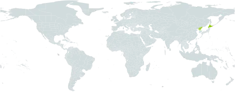 Enkianthus campanulatus world distribution map, present in Japan and Korea (Democratic People's Republic of)