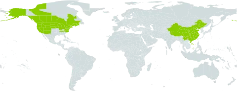 Epilobium angustifolium subsp. circumvagum world distribution map, present in Canada, China, France, and United States of America