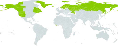 Epilobium lactiflorum world distribution map, present in Canada, Finland, Greenland, Iceland, Japan, Liberia, Norway, Russian Federation, Sweden, and United States of America