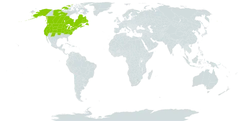Epilobium leptophyllum world distribution map, present in Canada, France, Saint Pierre and Miquelon, and United States of America