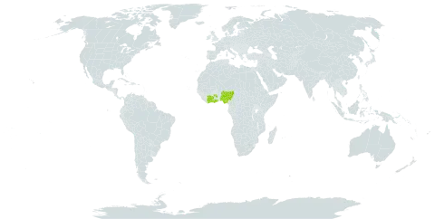 Epistemma assianum world distribution map, present in Côte d'Ivoire, Ghana, and Nigeria