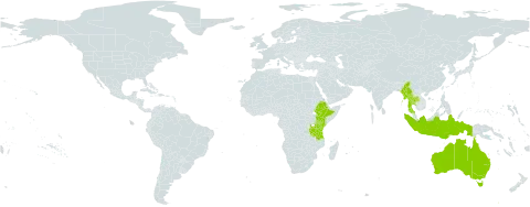 Eragrostiella bifaria world distribution map, present in Andorra, Australia, Ethiopia, Indonesia, Kenya, Myanmar, Thailand, and Tanzania, United Republic of