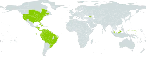 Eragrostis hypnoides world distribution map, present in Åland Islands, Belize, Bolivia (Plurinational State of), Brazil, Canada, Colombia, Costa Rica, Cuba, Dominica, Ecuador, Micronesia (Federated States of), Georgia, Guatemala, Guyana, Honduras, Haiti, Jamaica, Malaysia, Nicaragua, Panama, Peru, Puerto Rico, Paraguay, Suriname, Uruguay, United States of America, and Venezuela (Bolivarian Republic of)