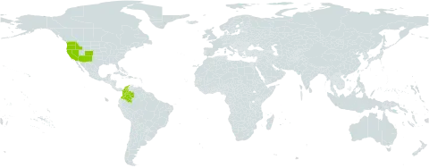 Eragrostis lutescens world distribution map, present in Colombia and United States of America