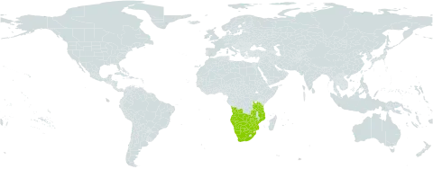 Eragrostis nindensis world distribution map, present in Angola, Botswana, Mozambique, Namibia, Tanzania, United Republic of, South Africa, Zambia, and Zimbabwe
