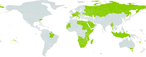 Eragrostis tef world distribution map, present in Angola, Australia, Brazil, Botswana, Switzerland, Czech Republic, Germany, Djibouti, Denmark, Egypt, Eritrea, Ethiopia, France, Indonesia, Italy, Kazakhstan, Kenya, Libya, Lesotho, Madagascar, Myanmar, Mozambique, Mauritania, Namibia, Netherlands, Palau, Réunion, Russian Federation, Saudi Arabia, Sudan, Senegal, Somalia, Tanzania, United Republic of, Uganda, Ukraine, United States of America, Yemen, South Africa, Zambia, and Zimbabwe