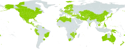Erigeron canadensis world distribution map, present in Afghanistan, Albania, Andorra, Armenia, Antigua and Barbuda, Australia, Austria, Azerbaijan, Belgium, Bonaire, Sint Eustatius and Saba, Bulgaria, Bahamas, Bosnia and Herzegovina, Belarus, Belize, Bolivia (Plurinational State of), Brazil, Barbados, Bhutan, Canada, Switzerland, China, Colombia, Costa Rica, Cayman Islands, Czech Republic, Germany, Dominica, Denmark, Algeria, Ecuador, Spain, Estonia, Finland, Fiji, France, Micronesia (Federated States of), United Kingdom of Great Britain and Northern Ireland, Georgia, Gibraltar, Guadeloupe, Greece, Grenada, Guatemala, French Guiana, Guam, Honduras, Croatia, Hungary, India, Iran (Islamic Republic of), Iraq, Israel, Italy, Jamaica, Japan, Kazakhstan, Kenya, Kyrgyzstan, Cambodia, Lebanon, Liberia, Libya, Saint Lucia, Liechtenstein, Lesotho, Lithuania, Luxembourg, Latvia, Morocco, Moldova (Republic of), Mexico, Marshall Islands, North Macedonia, Montenegro, Northern Mariana Islands, Mozambique, Martinique, Mauritius, Nicaragua, Niue, Netherlands, Norway, Nepal, New Zealand, Pakistan, Panama, Peru, Philippines, Palau, Papua New Guinea, Poland, Puerto Rico, Korea (Democratic People's Republic of), Portugal, Réunion, Romania, Russian Federation, El Salvador, Serbia, Suriname, Slovakia, Slovenia, Sweden, eSwatini, Turks and Caicos Islands, Tajikistan, Turkmenistan, Trinidad and Tobago, Tunisia, Turkey, Taiwan, Province of China, Ukraine, United States Minor Outlying Islands, United States of America, Uzbekistan, Saint Vincent and the Grenadines, Venezuela (Bolivarian Republic of), Viet Nam, South Africa, Zambia, and Zimbabwe
