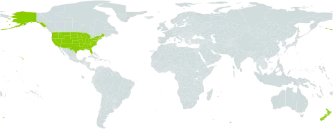 Erigeron world distribution map, present in New Zealand and United States of America