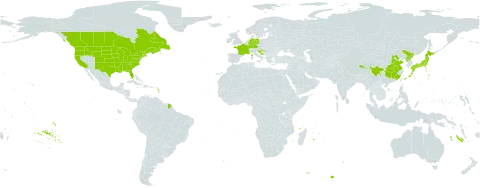 Erigeron strigosus world distribution map, present in Canada, China, Germany, France, Croatia, Japan, Korea (Democratic People's Republic of), Slovenia, and United States of America