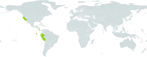 Eriocaulon microcephalum world distribution map, present in Costa Rica, Ecuador, Peru, and United States of America