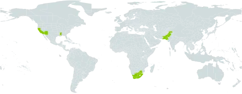 Eriochloa fatmensis world distribution map, present in Pakistan, United States of America, and South Africa